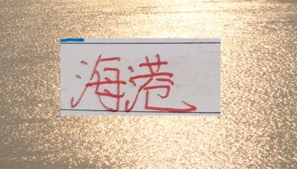 爱游戏体育app下载-有的前锋一年几十场比赛踢下来 进球还不如海港队长王燊超多